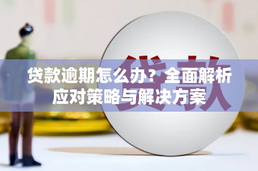 禄丰贷款逾期怎么办？全面解析应对策略与解决方案