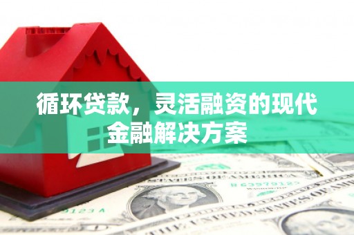 巴楚循环贷款，灵活融资的现代金融解决方案