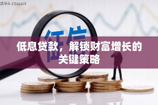 巴音郭楞蒙古低息贷款，解锁财富增长的关键策略