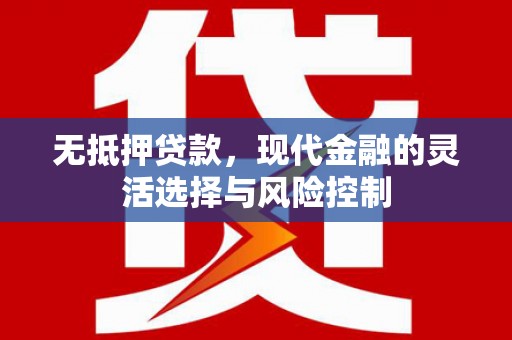 西和无抵押贷款，现代金融的灵活选择与风险控制
