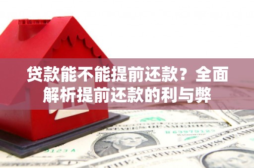 云霄贷款能不能提前还款？全面解析提前还款的利与弊