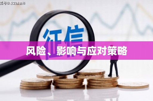 曹妃甸风险、影响与应对策略