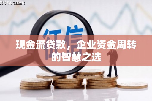 双牌现金流贷款，企业资金周转的智慧之选