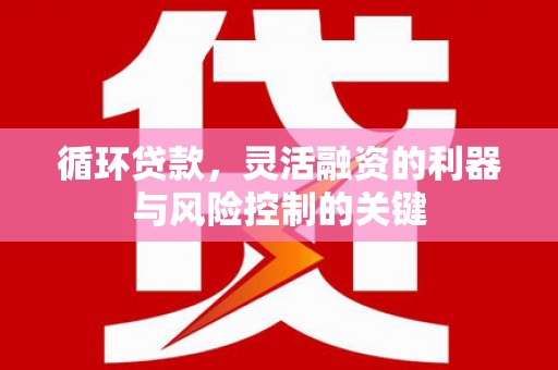 滁州循环贷款，灵活融资的利器与风险控制的关键