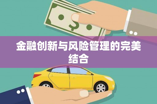 阳山金融创新与风险管理的完美结合