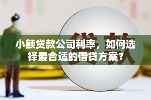 平川小额贷款公司利率，如何选择最合适的借贷方案？