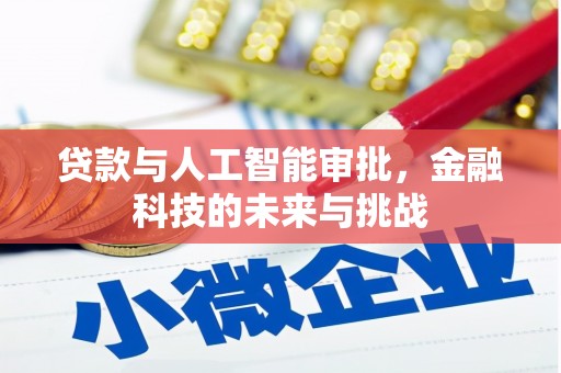 狮潭贷款与人工智能审批，金融科技的未来与挑战