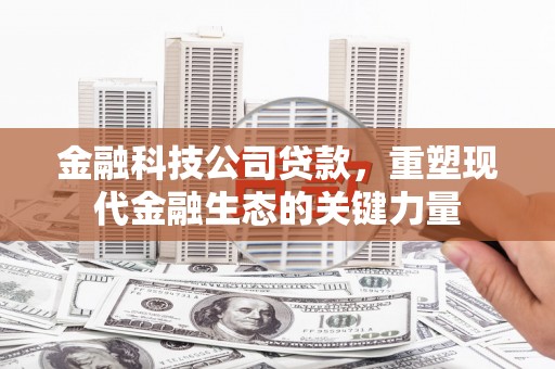 土库金融科技公司贷款，重塑现代金融生态的关键力量