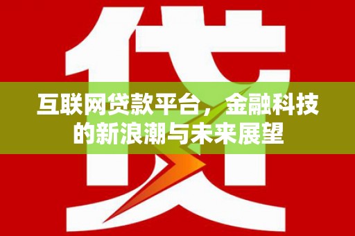 盐水互联网贷款平台，金融科技的新浪潮与未来展望