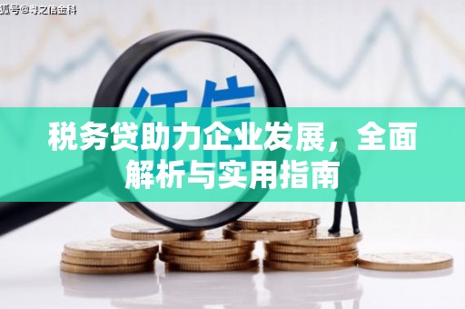 定海税务贷助力企业发展，全面解析与实用指南