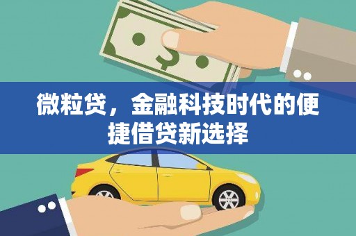 太康微粒贷，金融科技时代的便捷借贷新选择