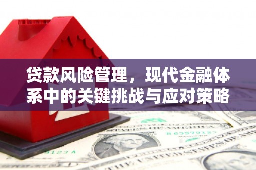 宁陕贷款风险管理，现代金融体系中的关键挑战与应对策略