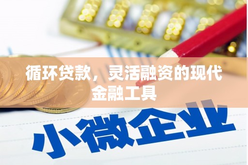 沅陵循环贷款，灵活融资的现代金融工具