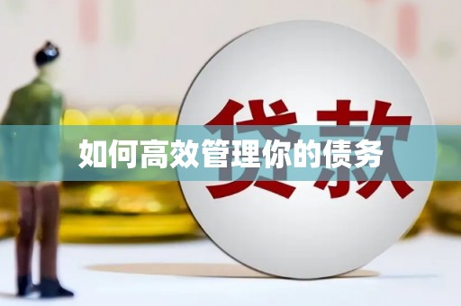 上城如何高效管理你的债务