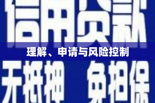 沙雅理解、申请与风险控制