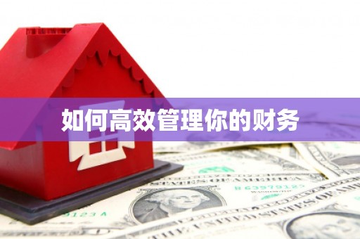 云龙如何高效管理你的财务