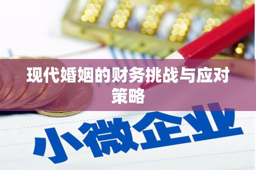 隆子现代婚姻的财务挑战与应对策略
