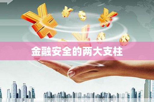 聂荣金融安全的两大支柱