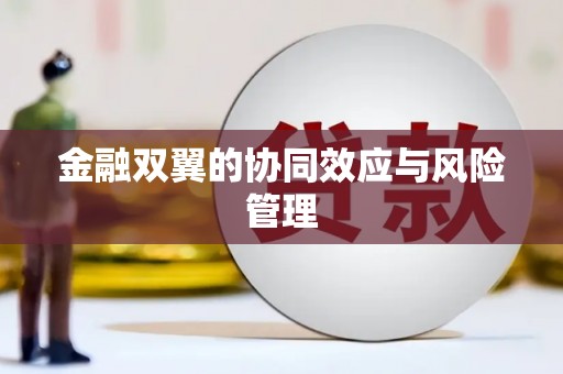 西塞山金融双翼的协同效应与风险管理