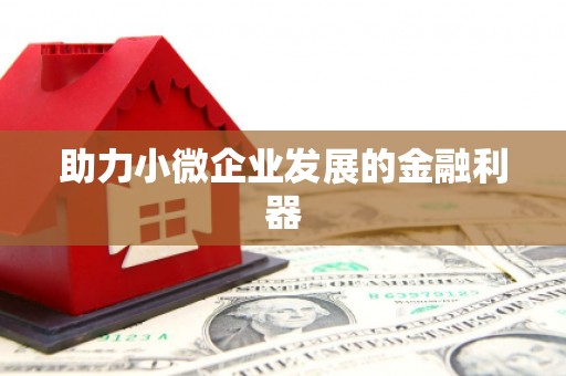 靖州助力小微企业发展的金融利器