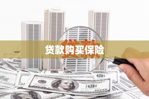 浔阳贷款购买保险