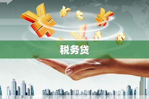 盖州税务贷
